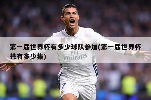 第一届世界杯有多少球队参加(第一届世界杯共有多少集)