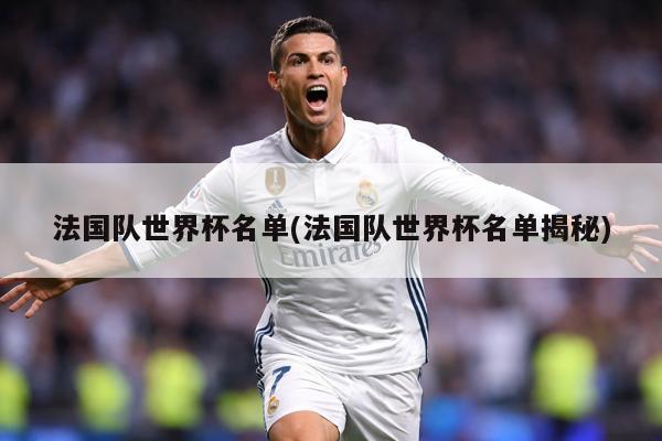 法国队世界杯名单(法国队世界杯名单揭秘)