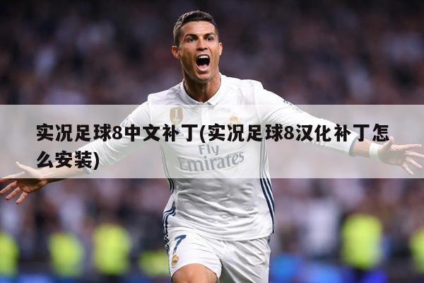 实况足球8中文补丁(实况足球8汉化补丁怎么安装)